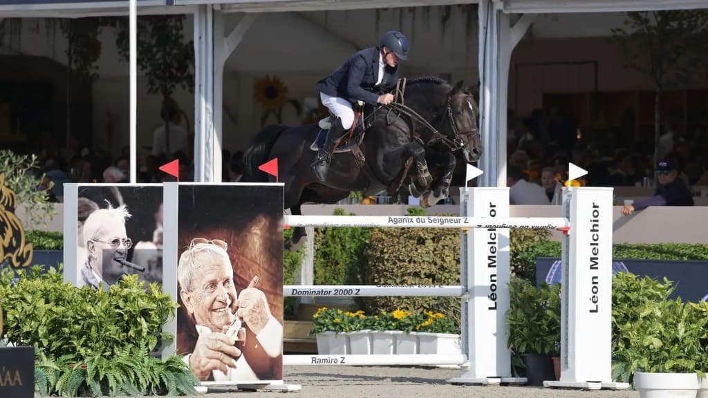 Castilly BTB jumping a decorated obstacle at a show jumping event