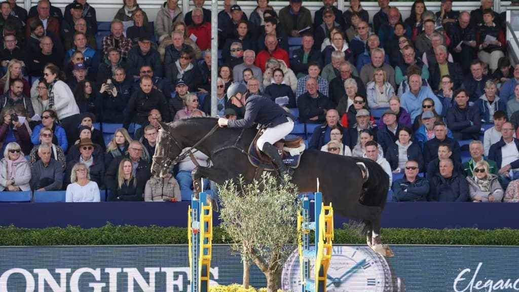 Castilly BTB clearing a blue and yellow jump in front of a crowd
